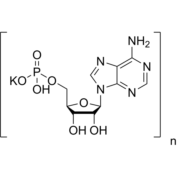 Polyadenylic acid potassium 26763-19-9